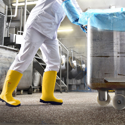 Tingley Picks: Our Top 3 Favorite Knee Boots