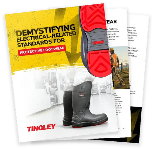 Want to Dive Deeper?